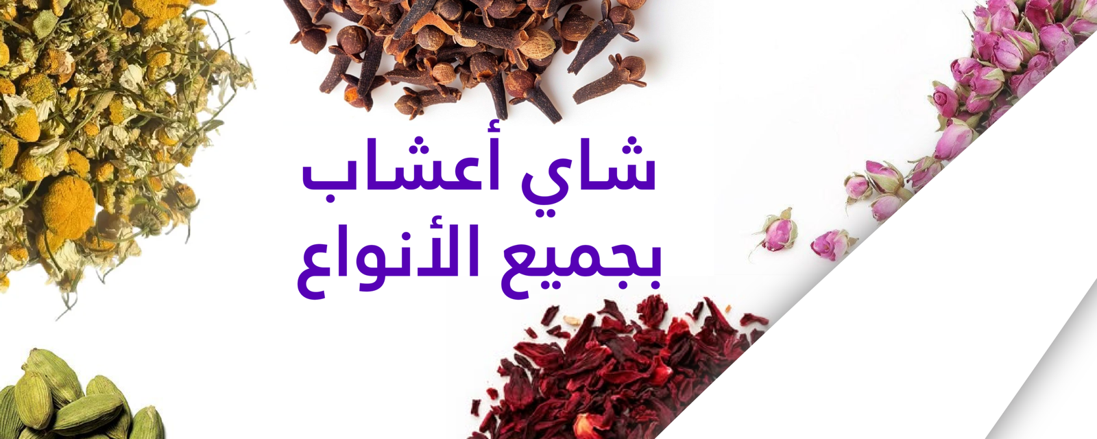 صور العرص للموقع