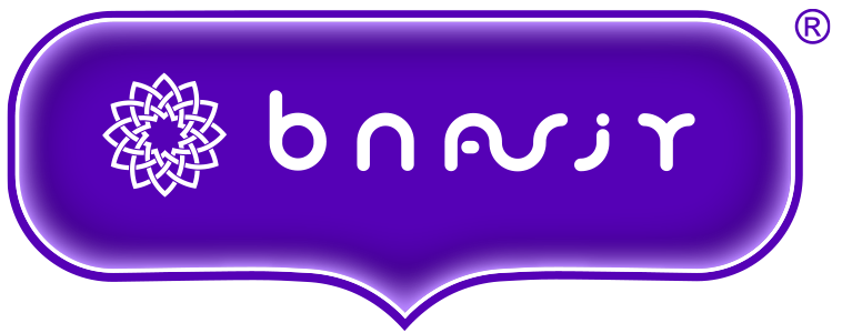 bnfsjy.com