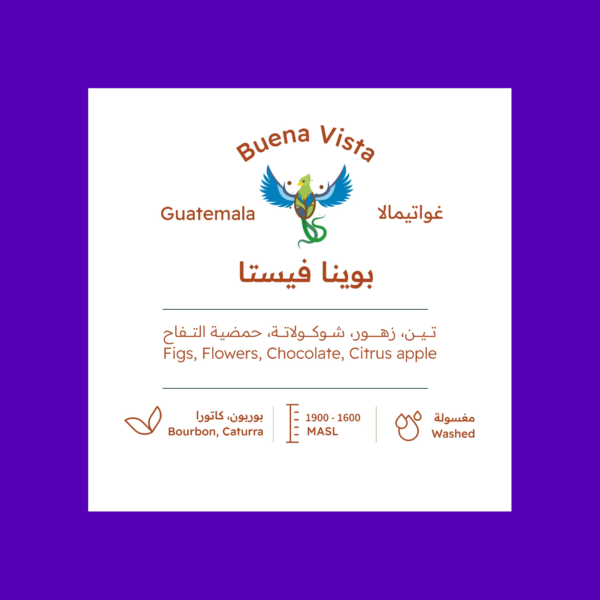 Roasting House -Guatemala buena vista 227gm